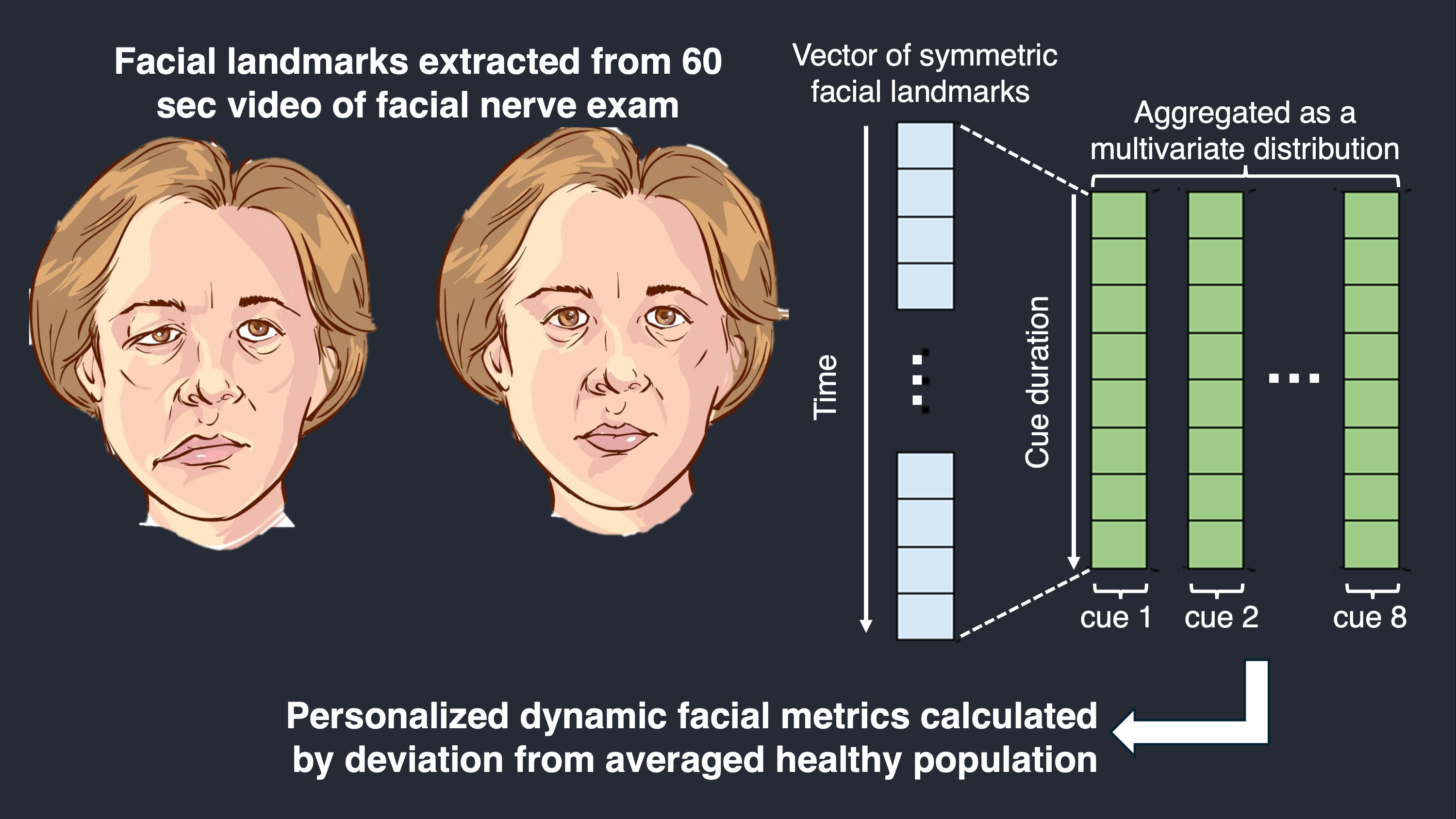 Facial palsy modeling project